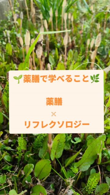 🌿薬膳 × リフレクソロジー
内側から整える「薬膳」と、足元から巡りを整えるリフレクソロジー。
どちらも“本来の自分のバランスを取り戻す”ための大切なアプローチです。
食べるもので体質を整え、足から全身へと巡りを促すことで、不調の根本にやさしく働きかけていきます。
オレンジリーフでは、この２つを組み合わせることで、“一歩前へ”進むための土台づくりをサポートしています🌿✨
#薬膳 #リフレクソロジー #自分磨き #健康